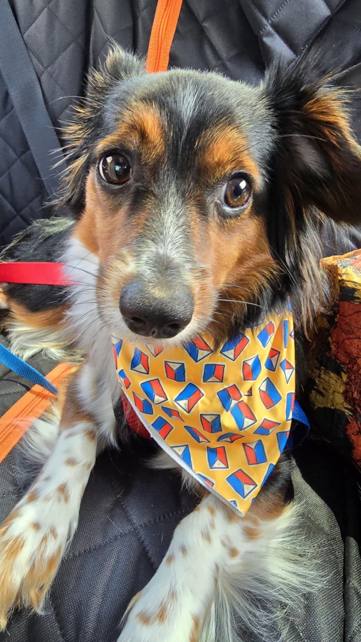 Filipino themed Bandana
