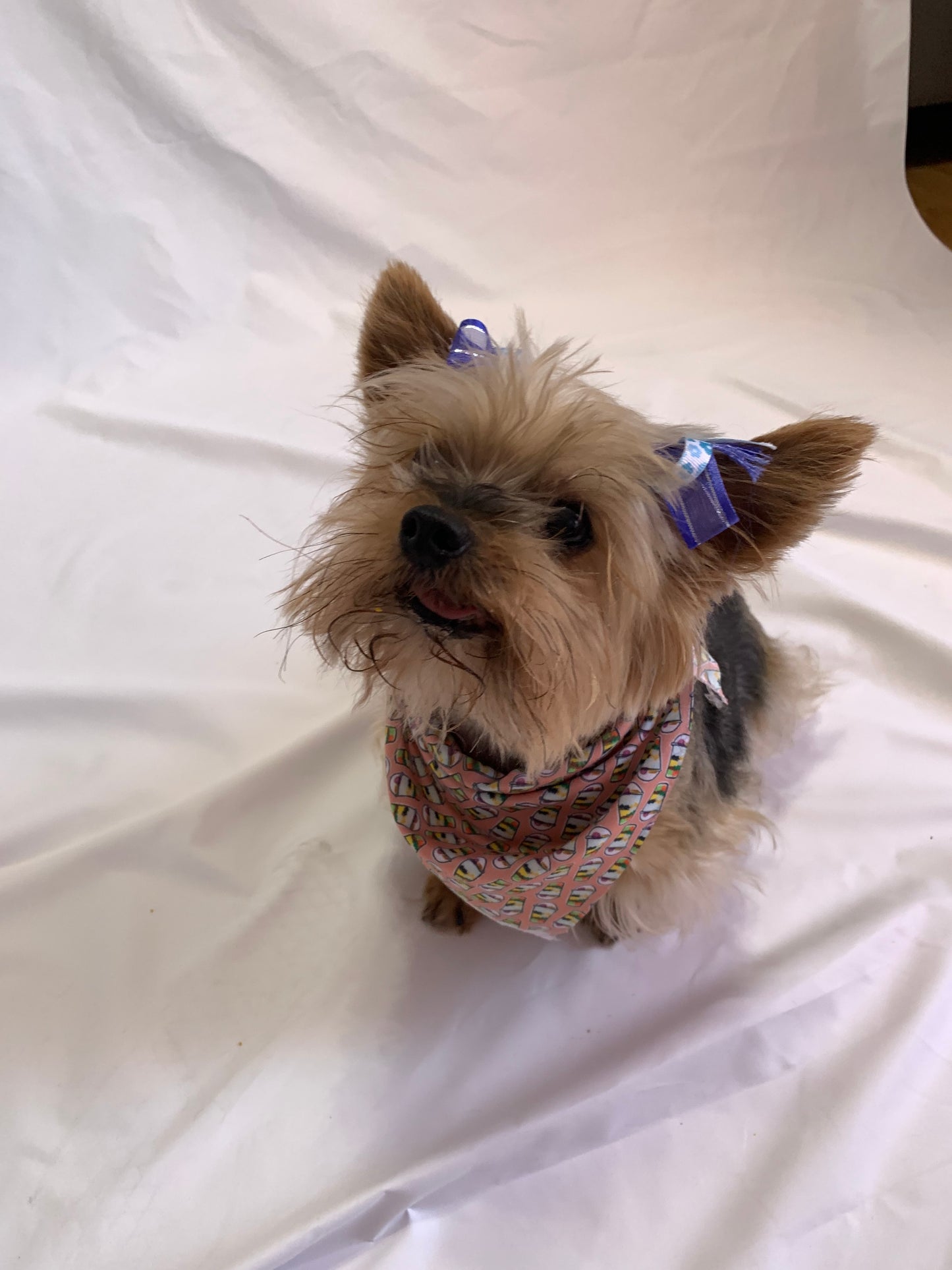 Filipino themed Bandana