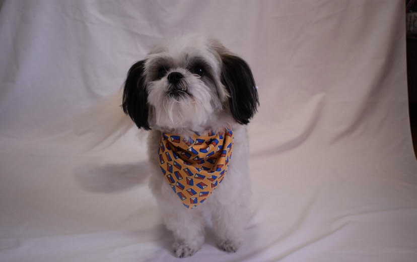 Filipino themed Bandana