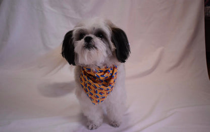 Filipino themed Bandana